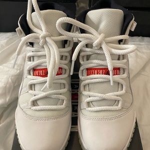 jordan 11 platinum tint